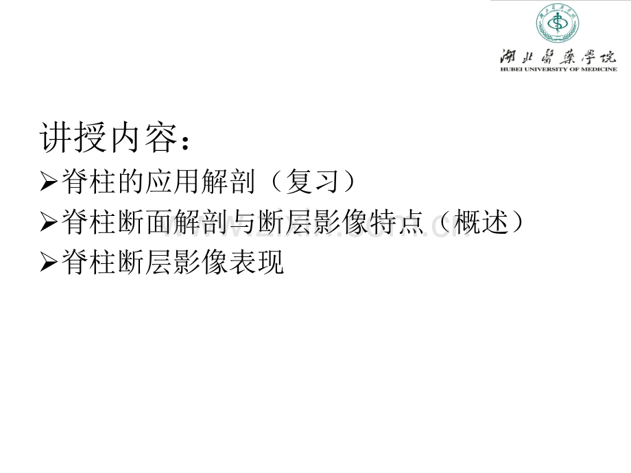 脊柱断面解剖学.ppt_第2页