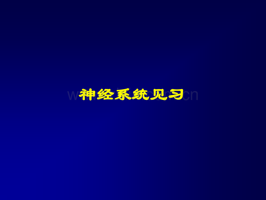 神经系统-头颈部见习幻灯.ppt_第1页