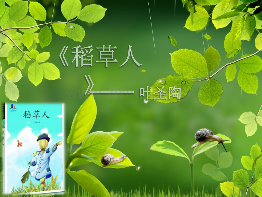 《稻草人》读书课课件.ppt_第1页