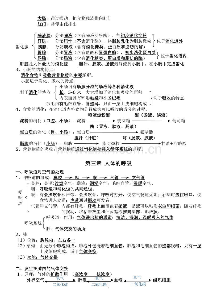 人教版七年级生物下册知识点汇总.doc_第2页