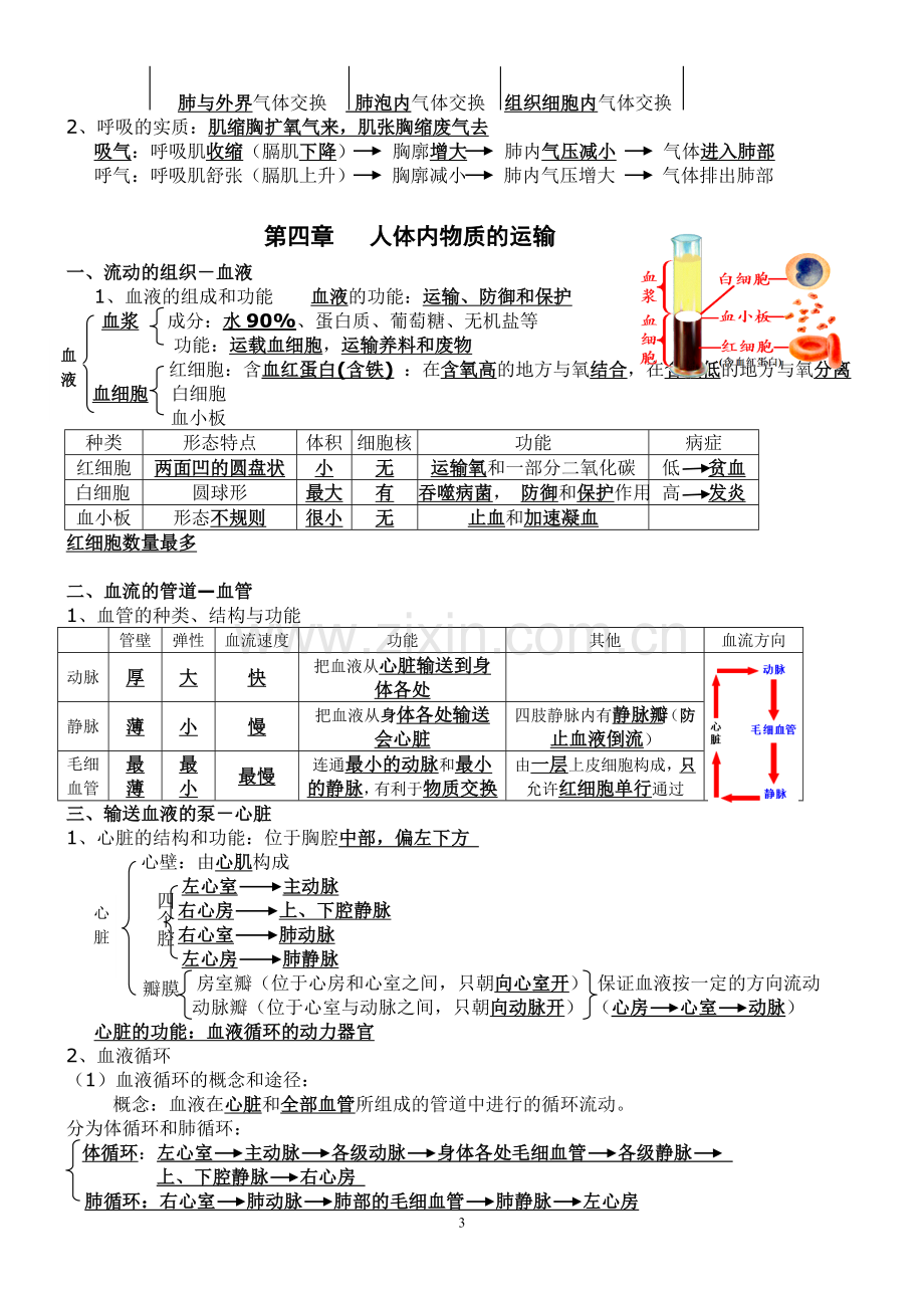 人教版七年级生物下册知识点汇总.doc_第3页