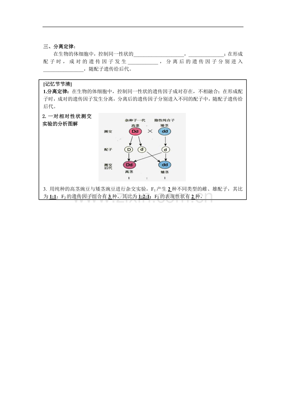 第一节孟德尔豌豆杂交实验(一)教案第二课时.doc_第2页