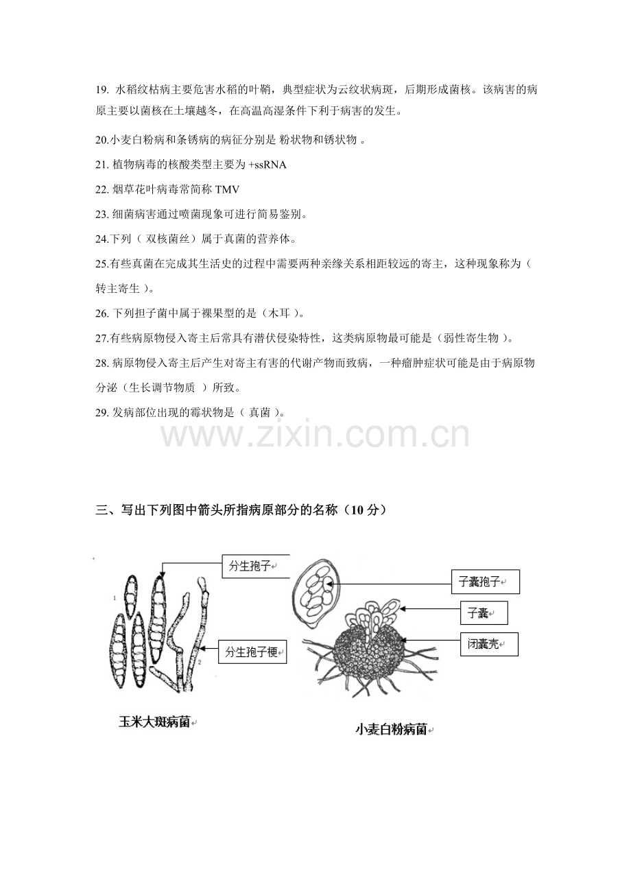 植物保护学复习题.doc_第3页