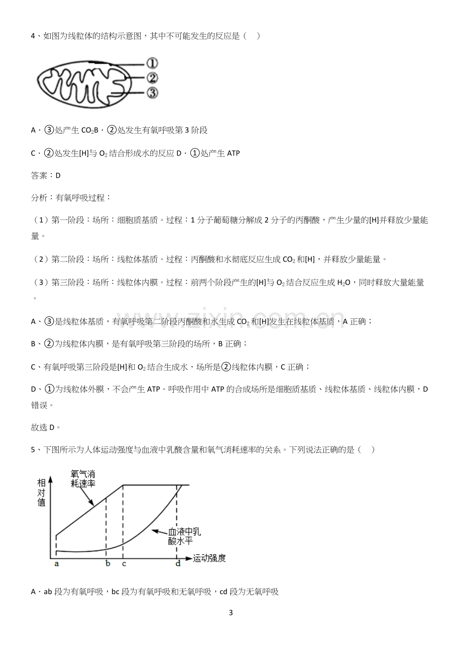 河南省高中生物第5章细胞的能量供应和利用题型总结及解题方法.docx_第3页