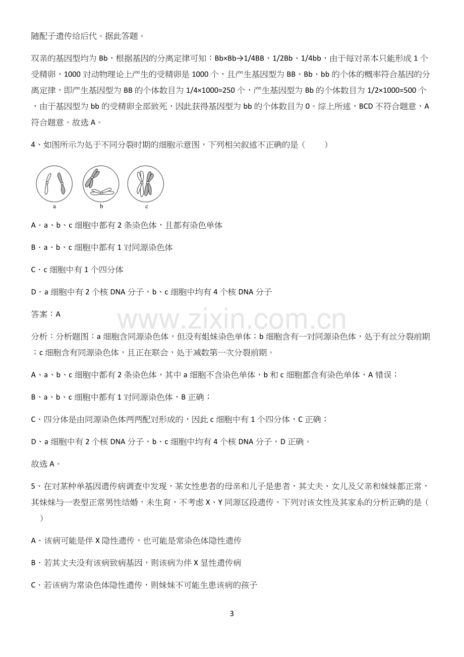 河南省高中生物必修二第二章基因和染色体的关系基础知识手册.docx_第3页