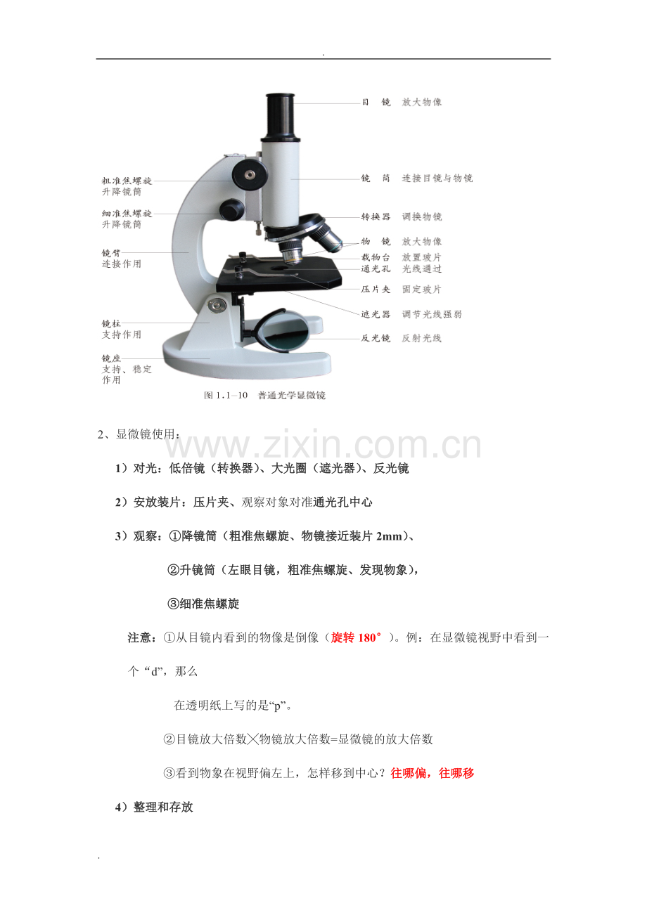 济南版七年级上册生物知识点整理.doc_第3页