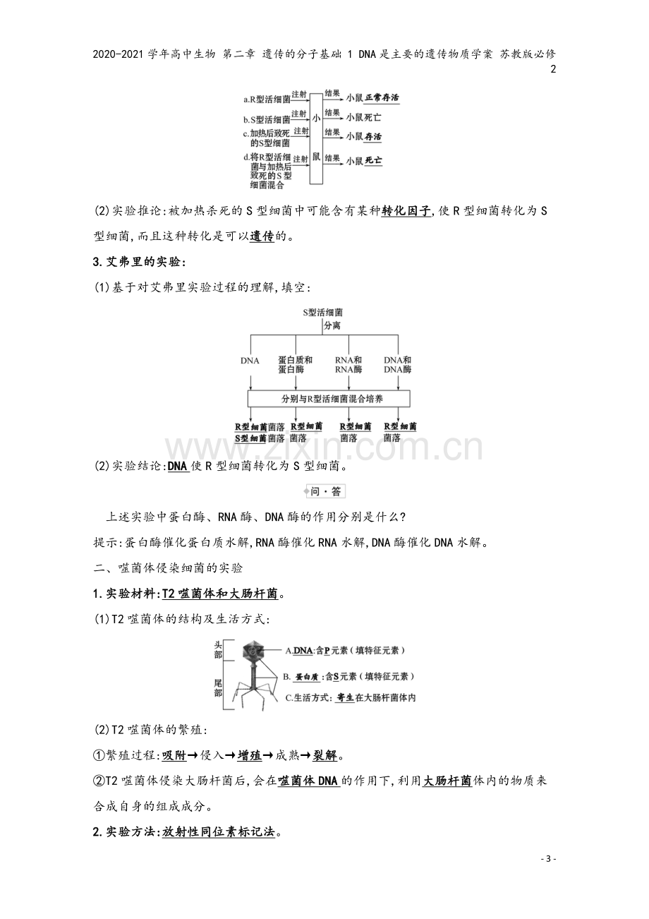 2020-2021学年高中生物-第二章-遗传的分子基础-1-DNA是主要的遗传物质学案-苏教版必修2.doc_第3页