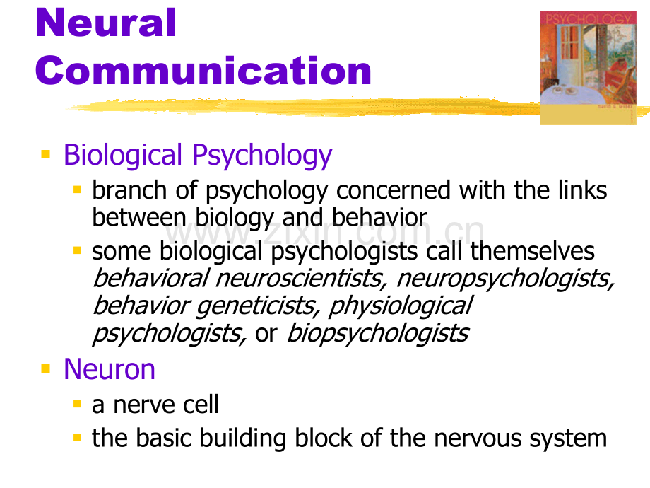 MyersPsy02神经科学与行为.ppt.ppt_第2页