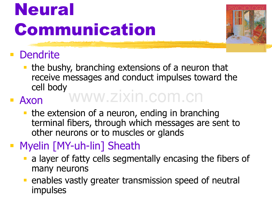 MyersPsy02神经科学与行为.ppt.ppt_第3页