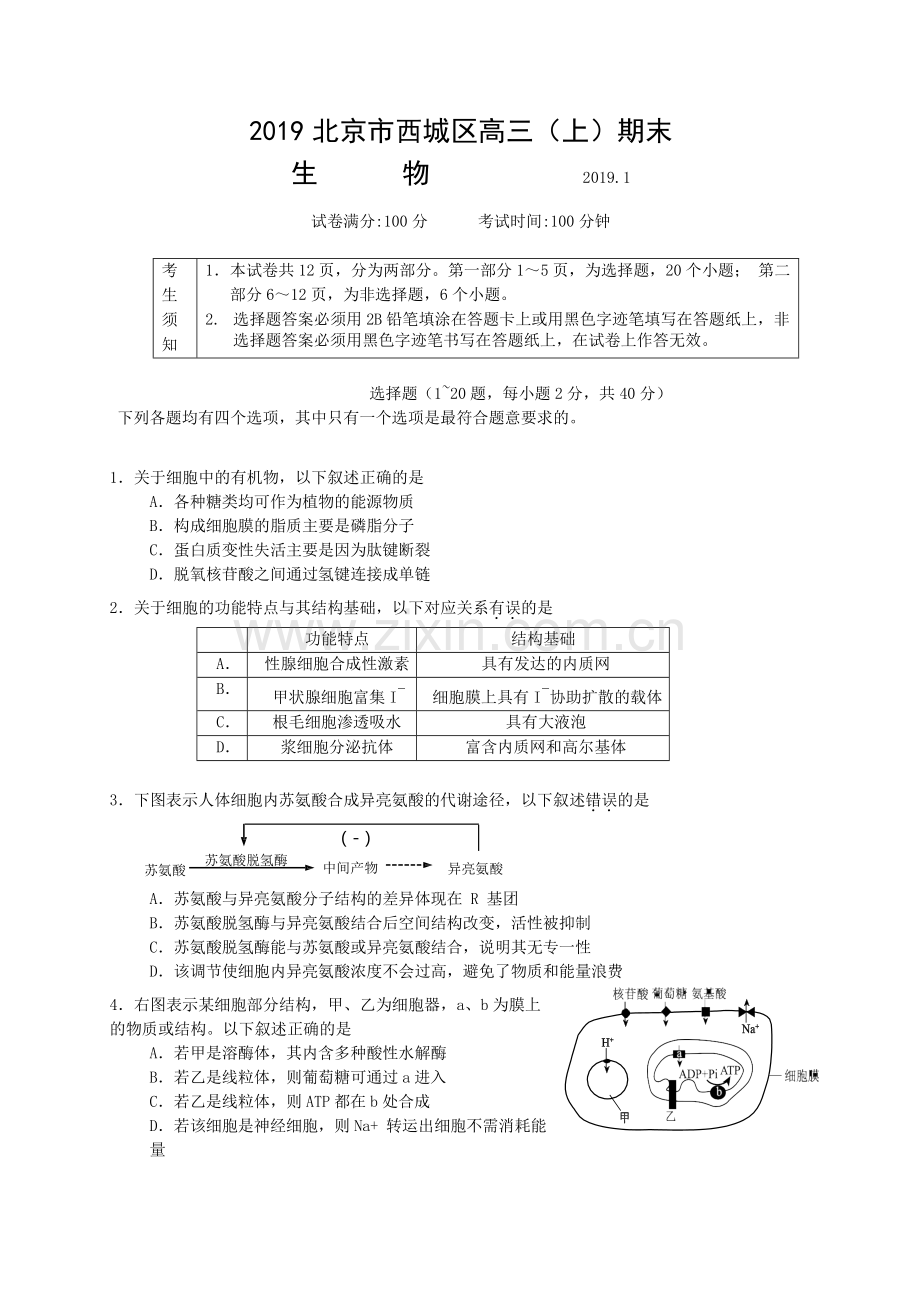 北京市西城区2018-2019学年高三期末生物试题及参考答案.doc_第1页