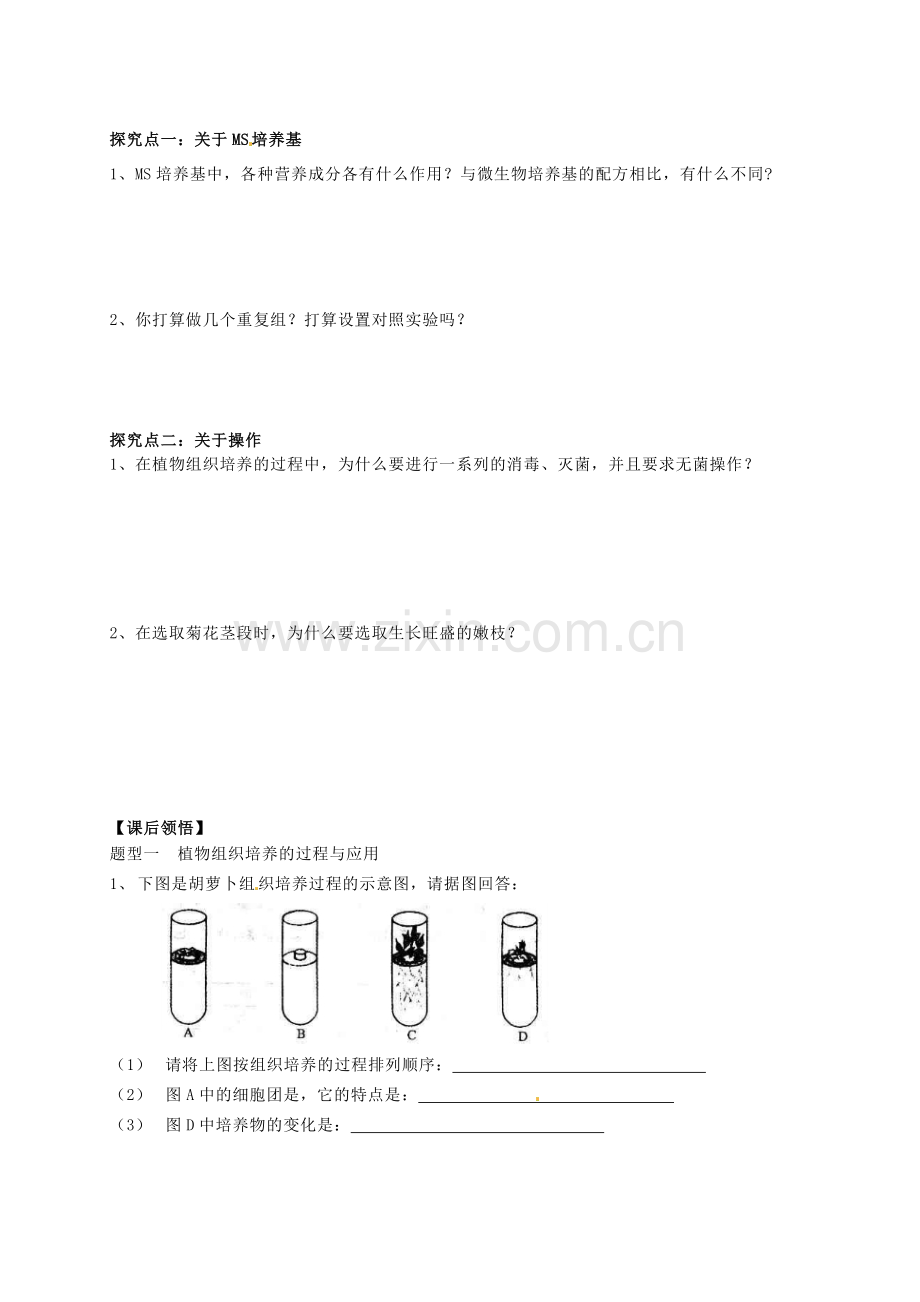 高考生物专题三课题1菊花的组织培养复习导学案.doc_第3页