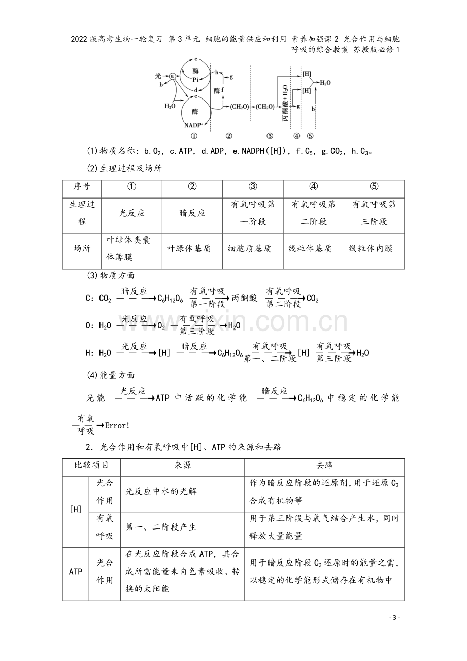 2022版高考生物一轮复习-第3单元-细胞的能量供应和利用-素养加强课2-光合作用与细胞呼吸的综合教.doc_第3页