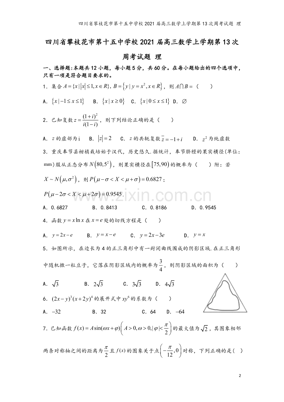 四川省攀枝花市第十五中学校2021届高三数学上学期第13次周考试题-理.doc_第2页