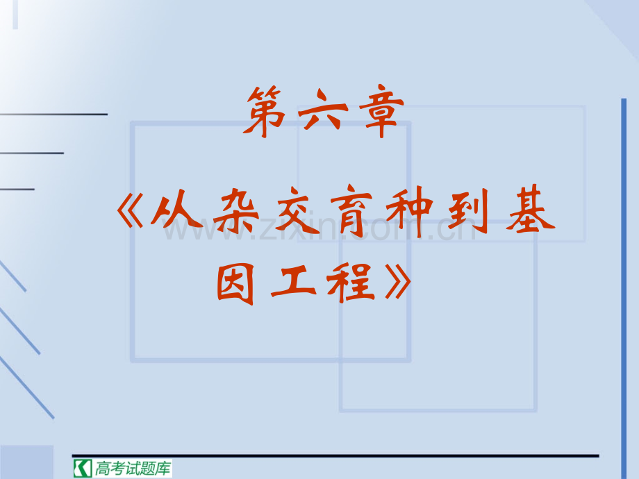 《从杂交育种到基因工程》课件].ppt_第2页