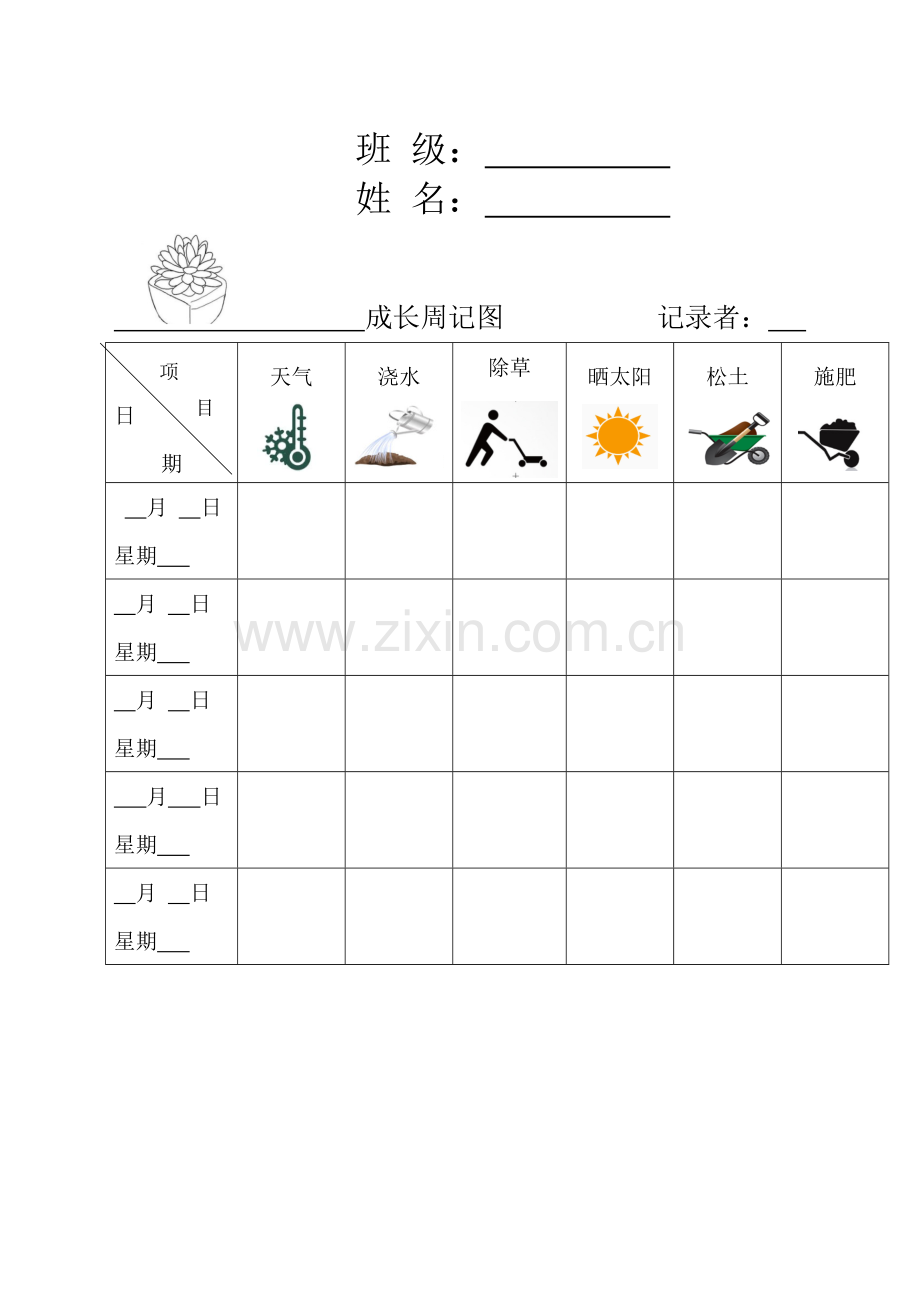 植物观察记录表.doc_第1页