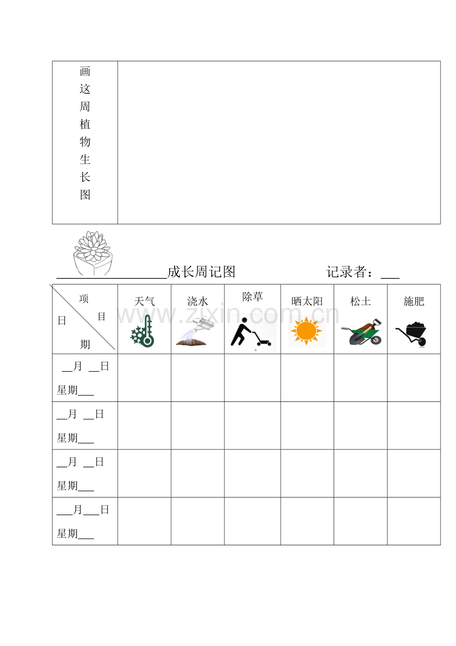 植物观察记录表.doc_第2页