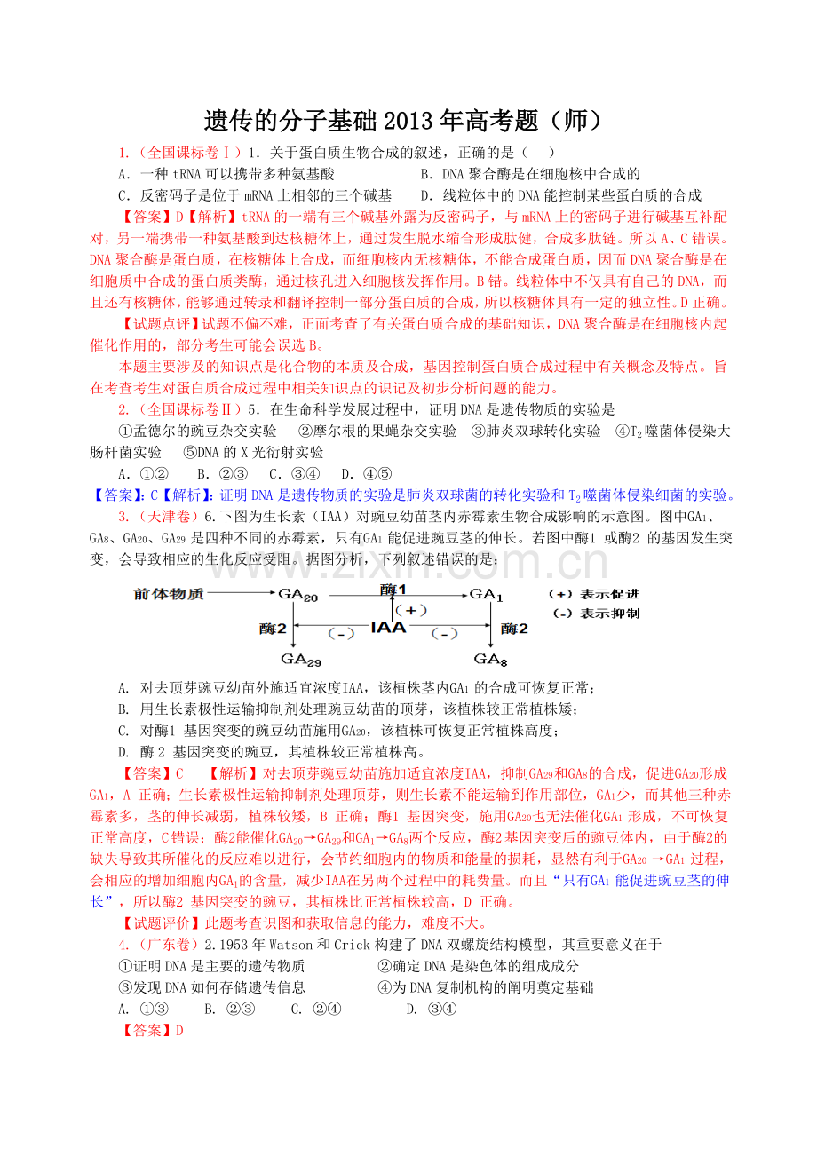 遗传的分子基础2013年高考题(师).doc_第1页