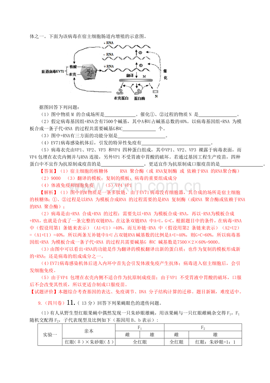 遗传的分子基础2013年高考题(师).doc_第3页