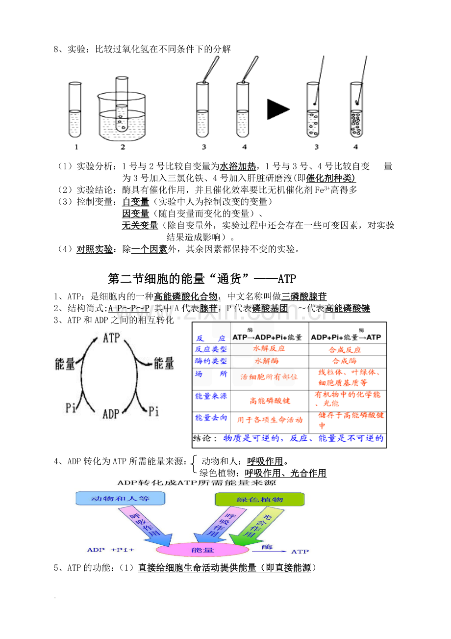 生物必修一第五章知识点总结全.doc_第2页