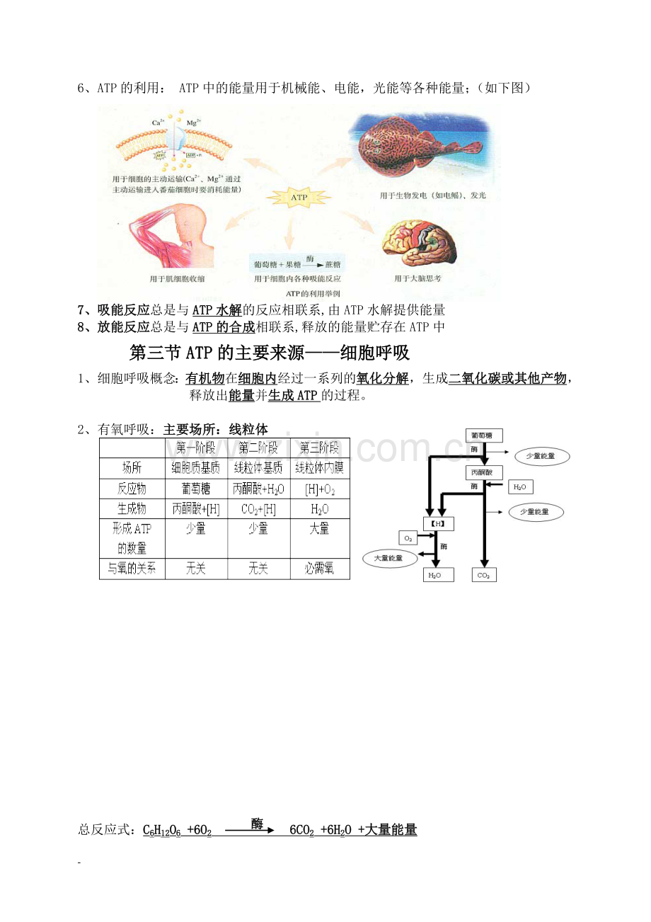 生物必修一第五章知识点总结全.doc_第3页