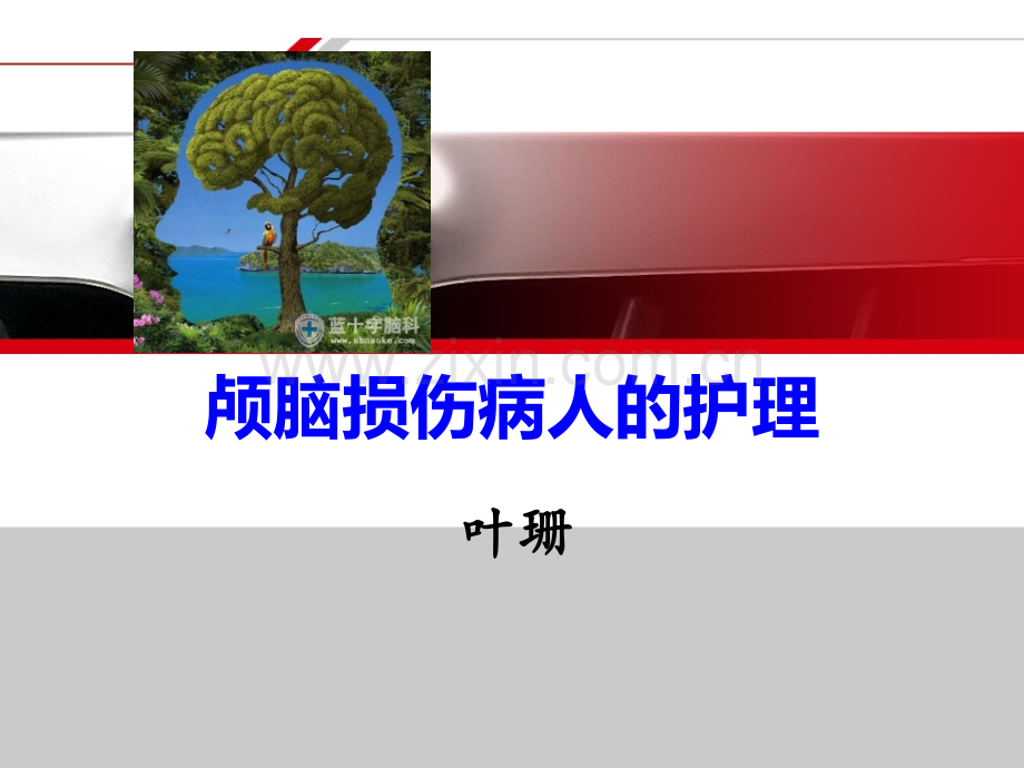 颅脑损伤病人的护理【可编辑的PPT文档】.ppt_第1页