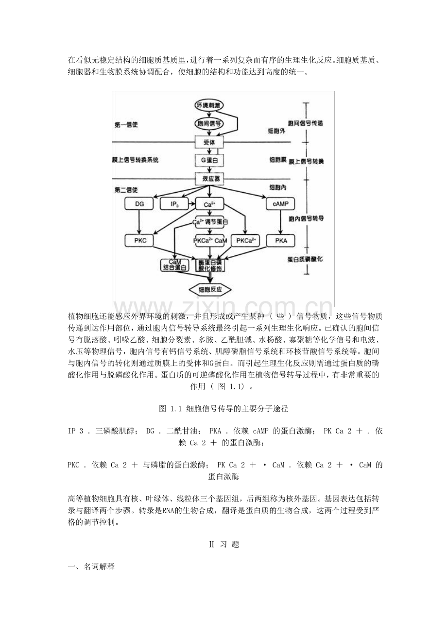 植物生理学习题集.doc_第2页