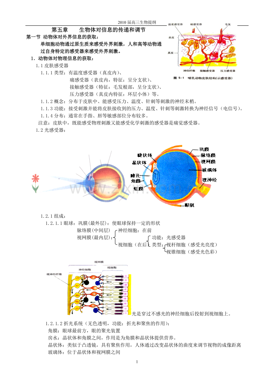 第五章生物体对信息的传递和调节.doc_第1页