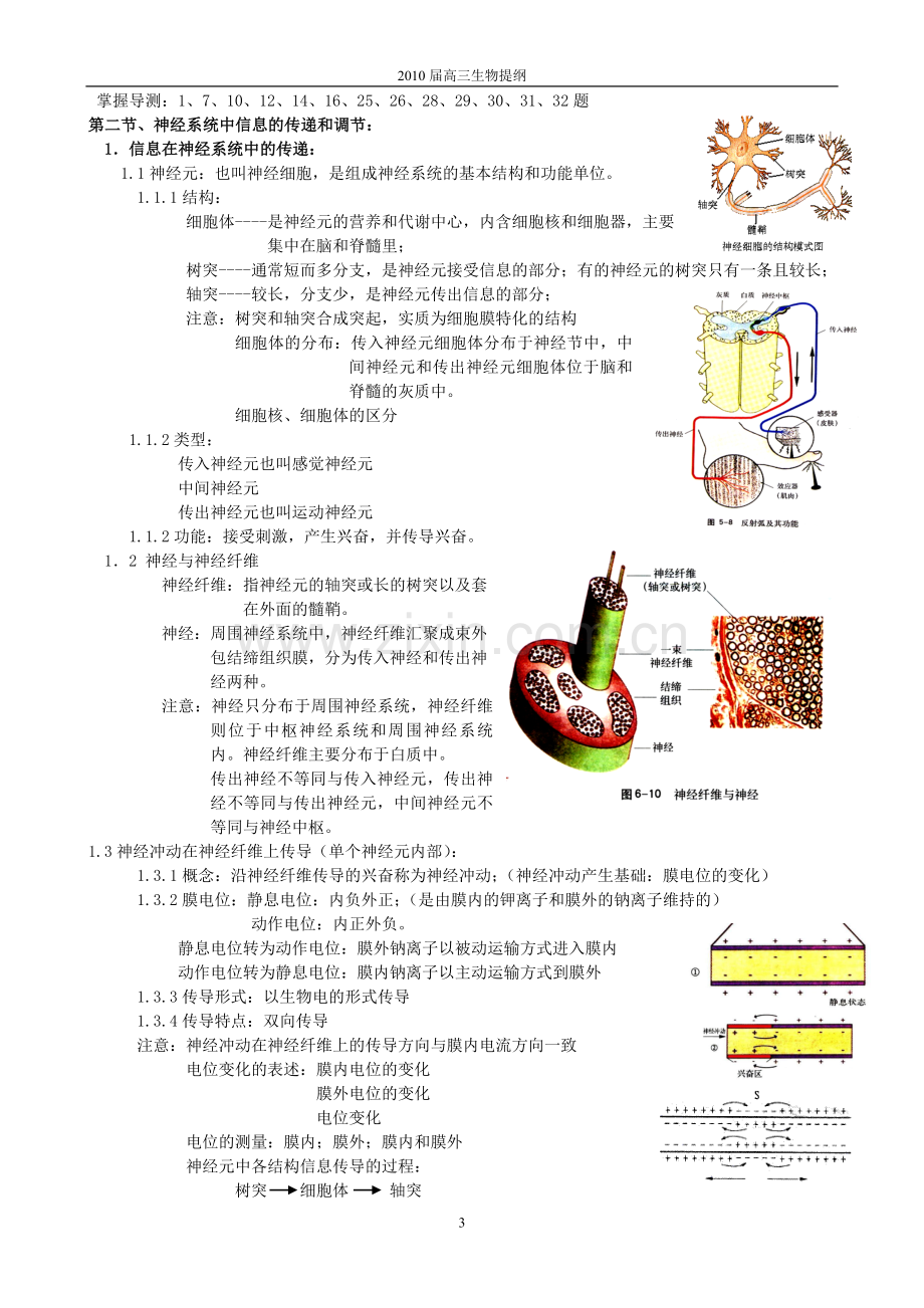 第五章生物体对信息的传递和调节.doc_第3页