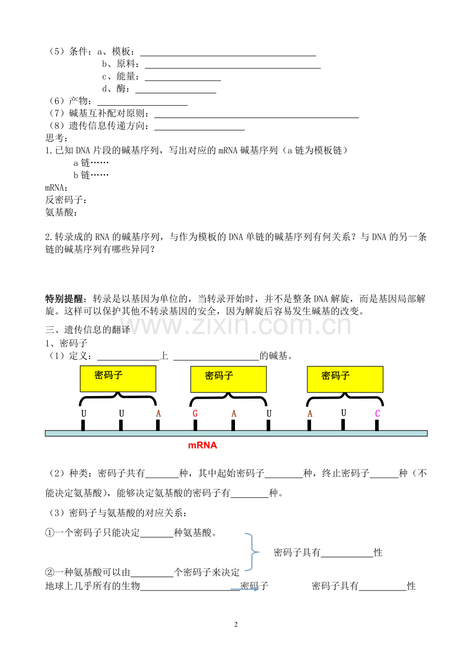 第1节基因指导蛋白质的合成导学案.doc_第2页