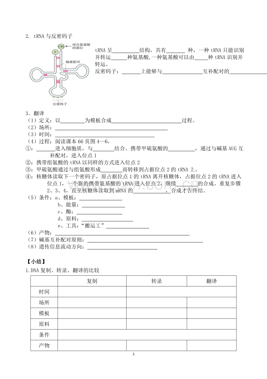 第1节基因指导蛋白质的合成导学案.doc_第3页