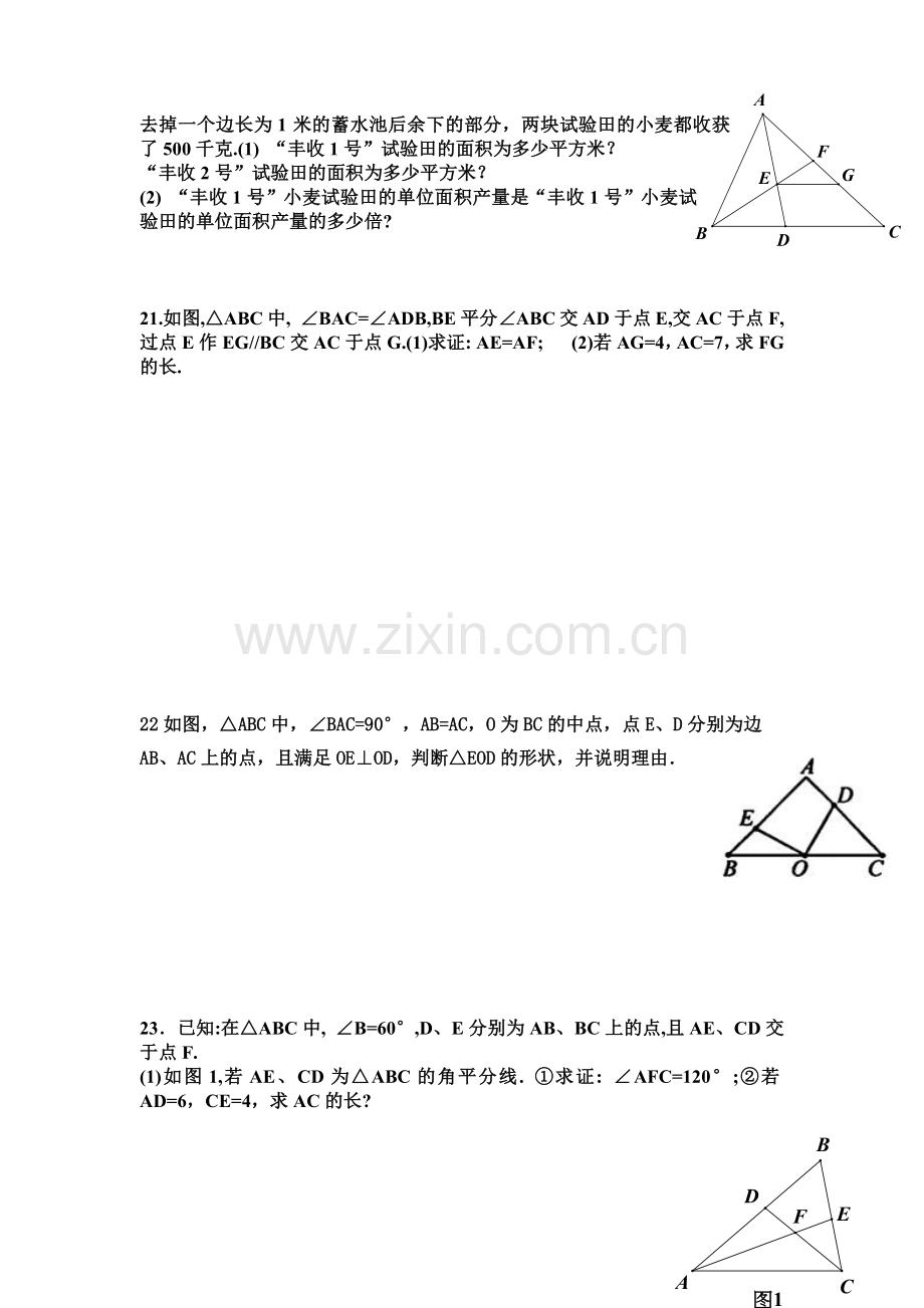 人教版八年级上学期数学几何训练题1.doc_第3页