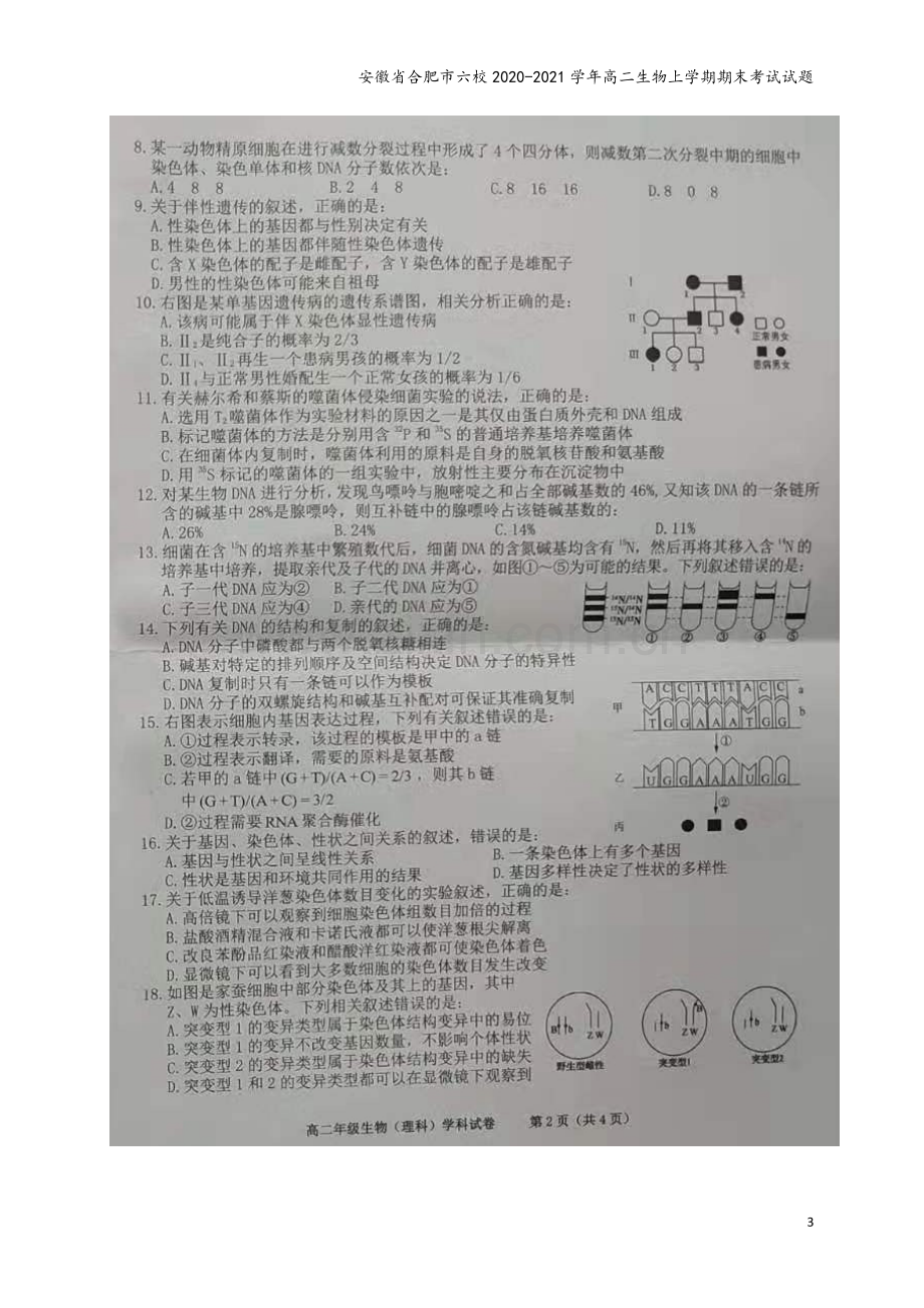 安徽省合肥市六校2020-2021学年高二生物上学期期末考试试题.doc_第3页