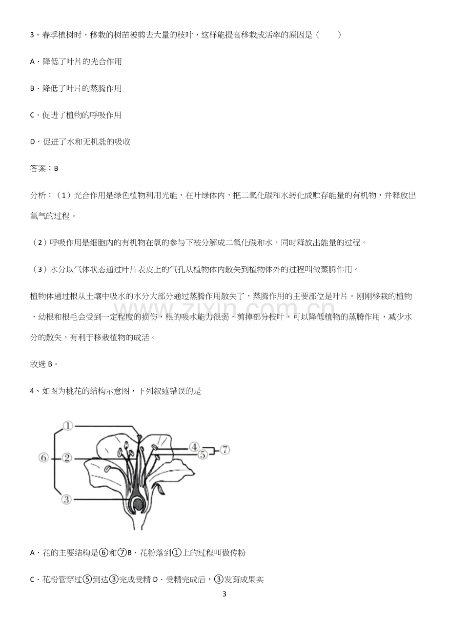 人教版2023初中生物七年级上册第三单元生物圈中的绿色植物考点总结.docx_第3页