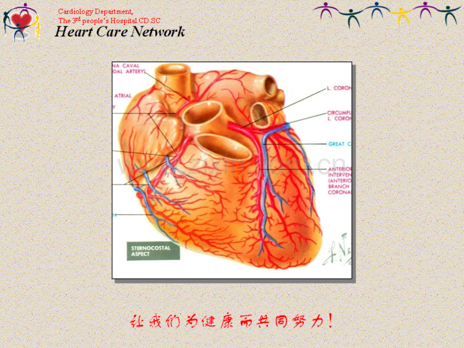 冠心病高血压.ppt_第3页