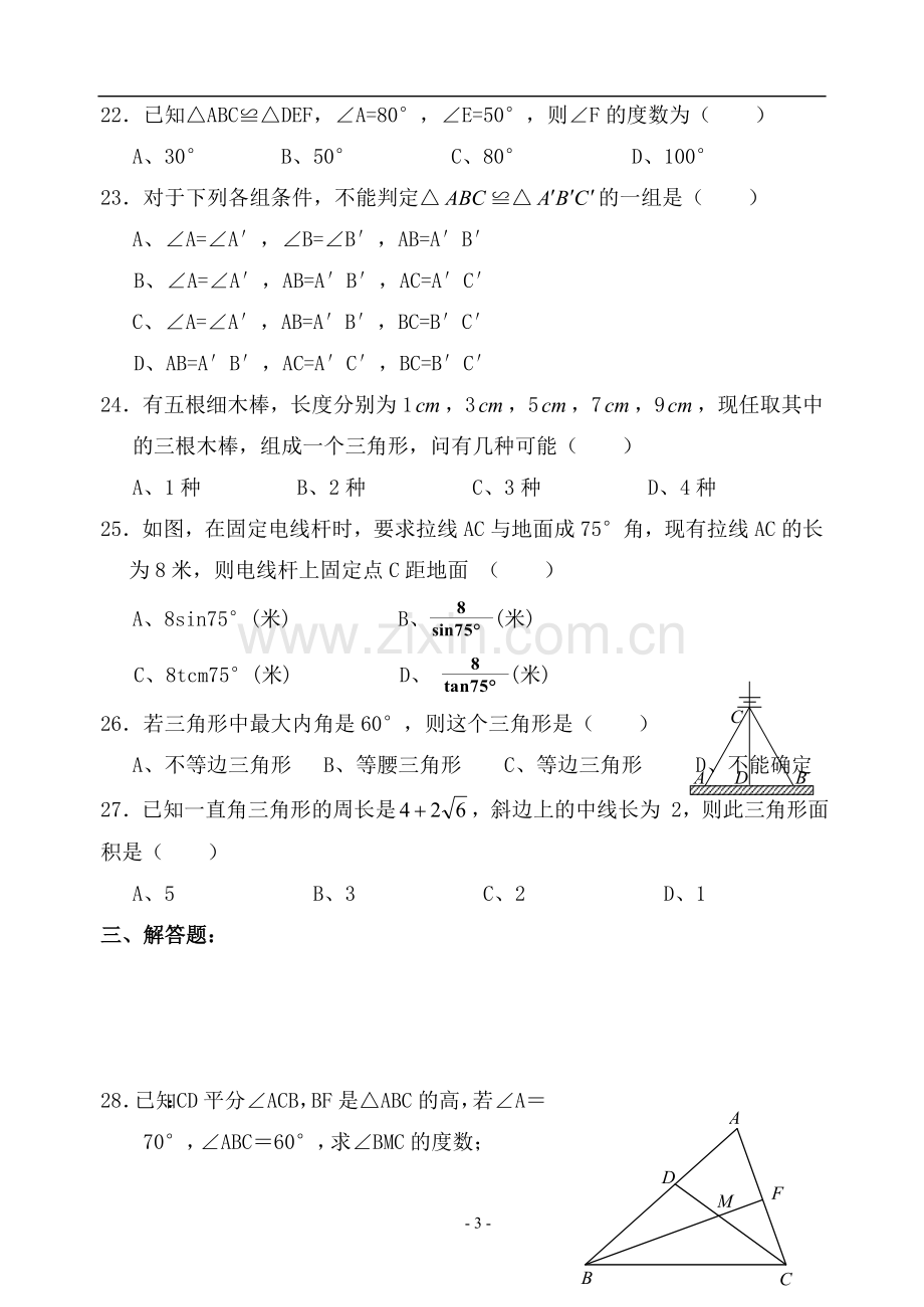 初三数学中考第一轮复习专题——三角形.doc_第3页