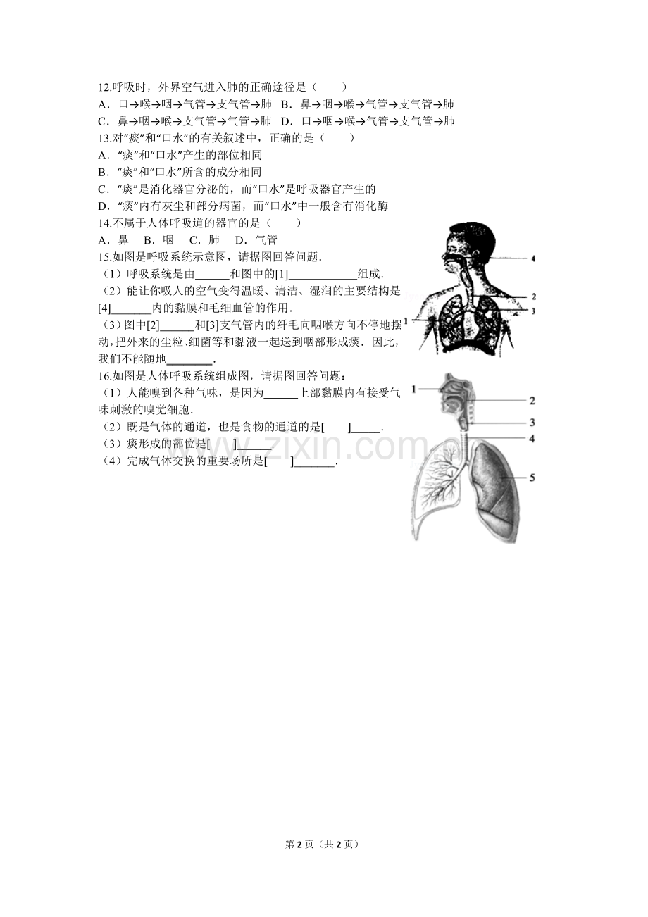 第一节呼吸道对空气的处理练习题.doc_第2页