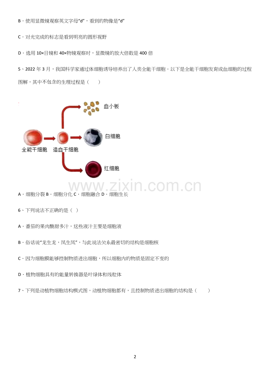 通用版初中生物七年级上册第二单元生物体的结构层次经典大题例题.docx_第2页