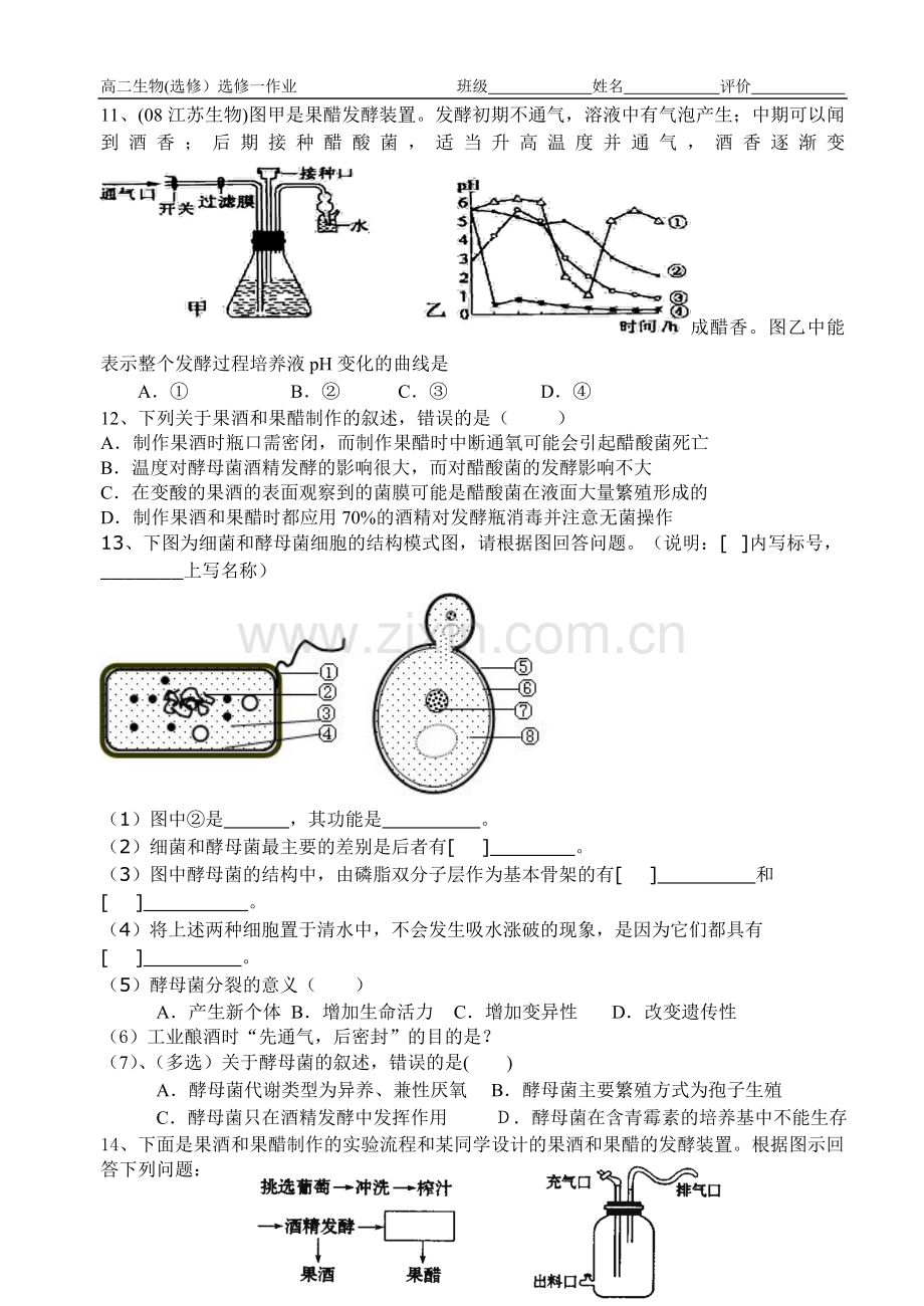 果酒果醋的制作(练习).doc_第2页