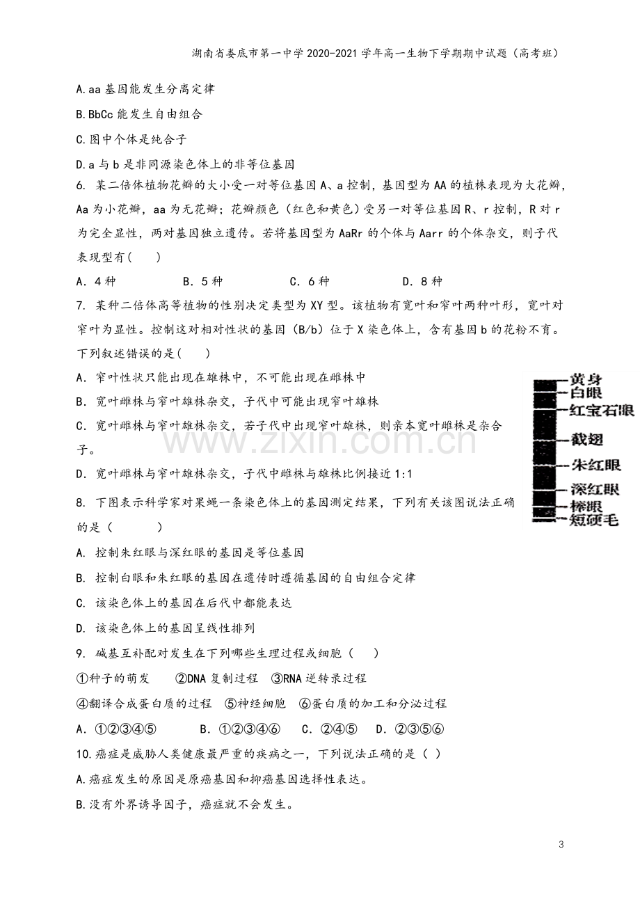 湖南省娄底市第一中学2020-2021学年高一生物下学期期中试题(高考班).doc_第3页