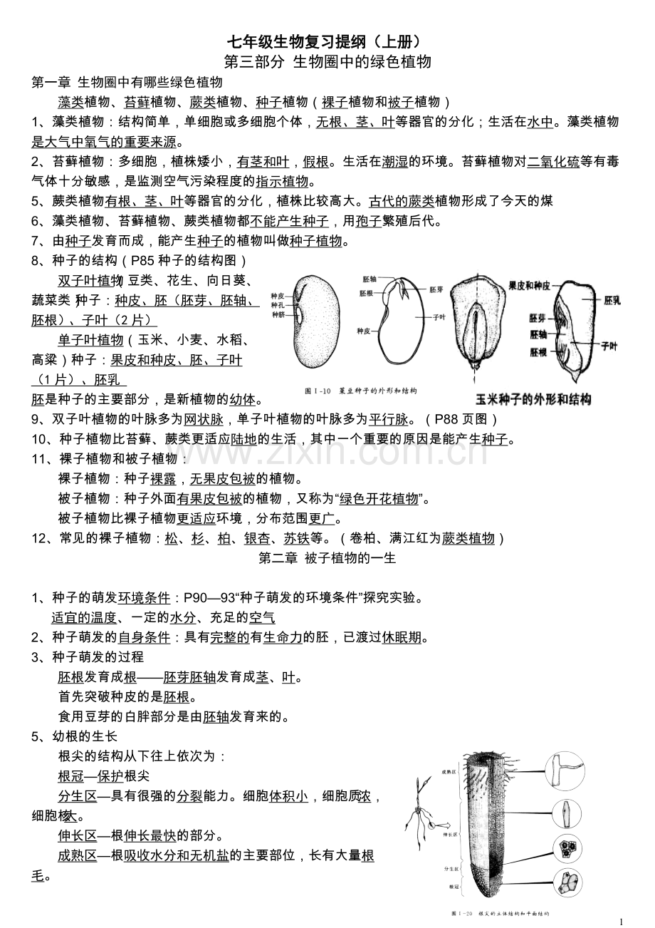 第三单元生物圈中的绿色植物复习提纲.doc_第1页