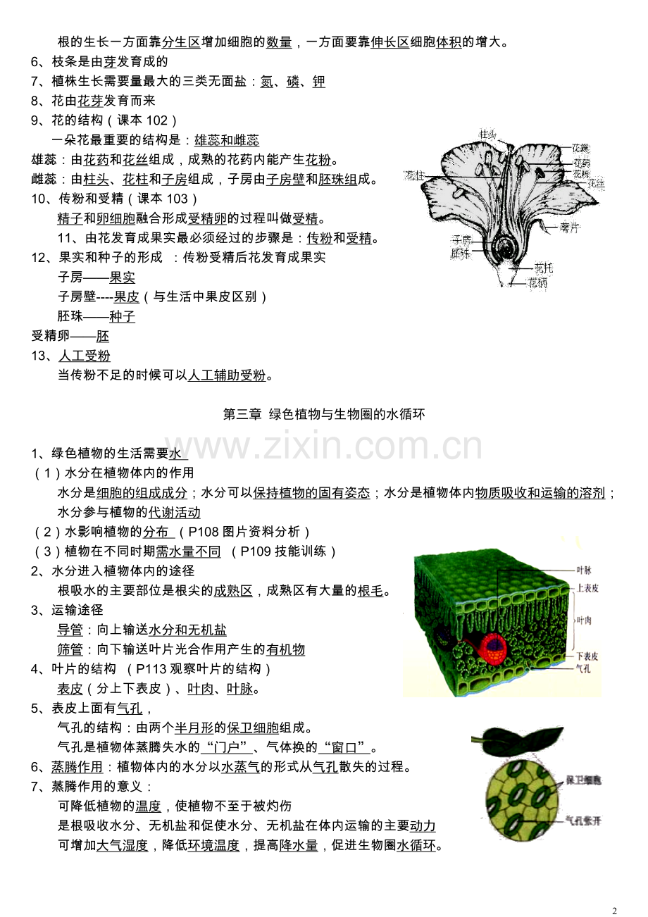 第三单元生物圈中的绿色植物复习提纲.doc_第2页