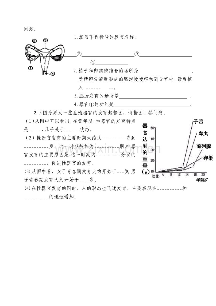 第三节青春期导学案.doc_第3页