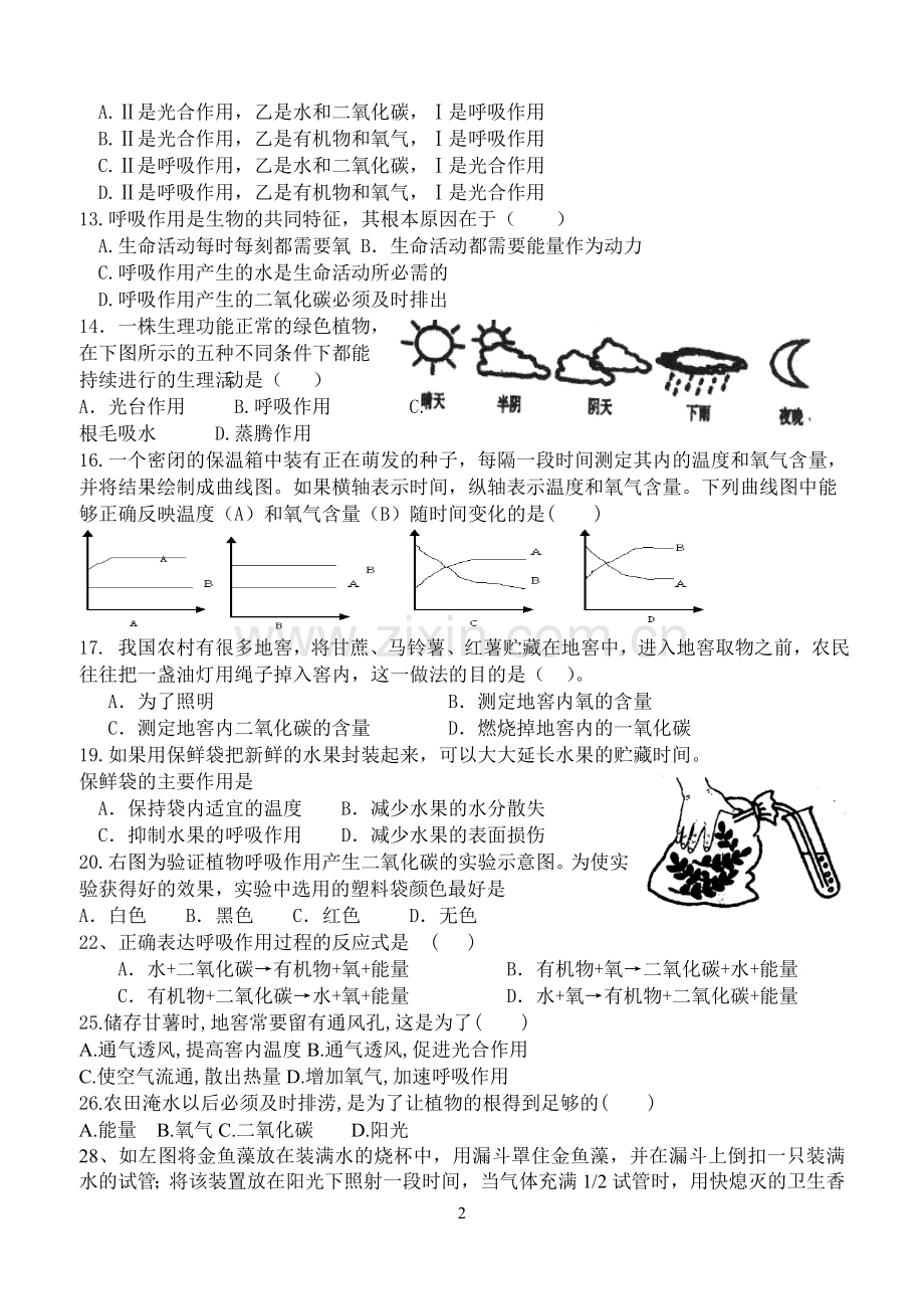 植物的呼吸作用练习题.doc_第2页