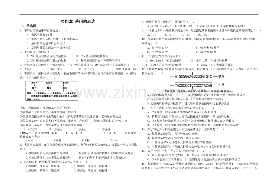 第4章-基因的表达.doc_第1页