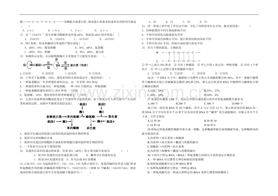 第4章-基因的表达.doc_第2页