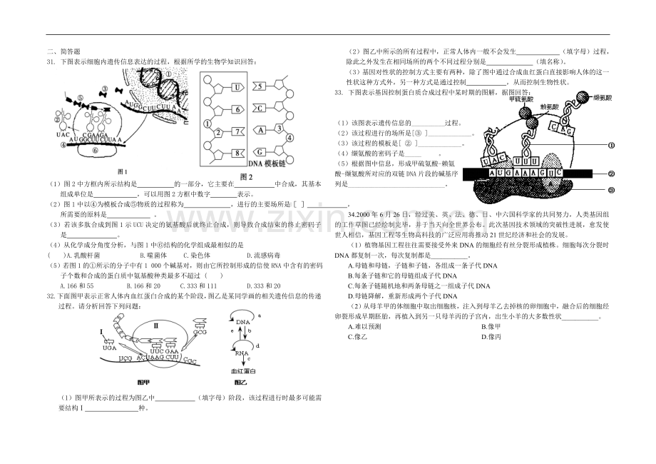 第4章-基因的表达.doc_第3页