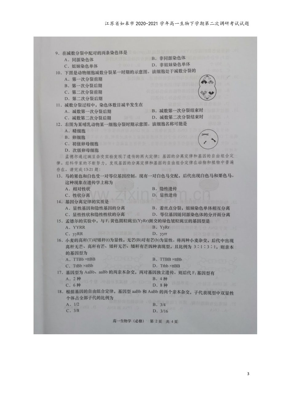 江苏省如皋市2020-2021学年高一生物下学期第二次调研考试试题.doc_第3页