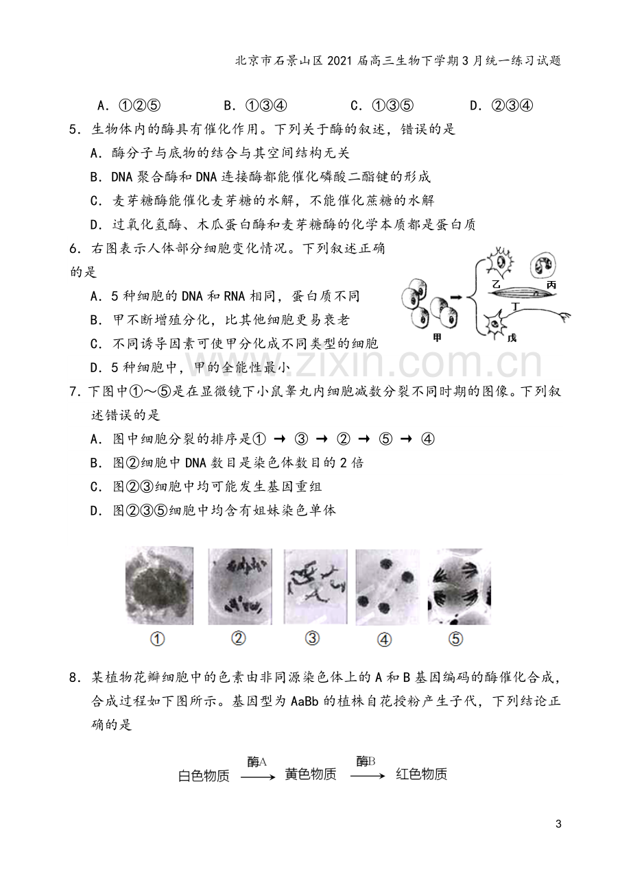 北京市石景山区2021届高三生物下学期3月统一练习试题.doc_第3页