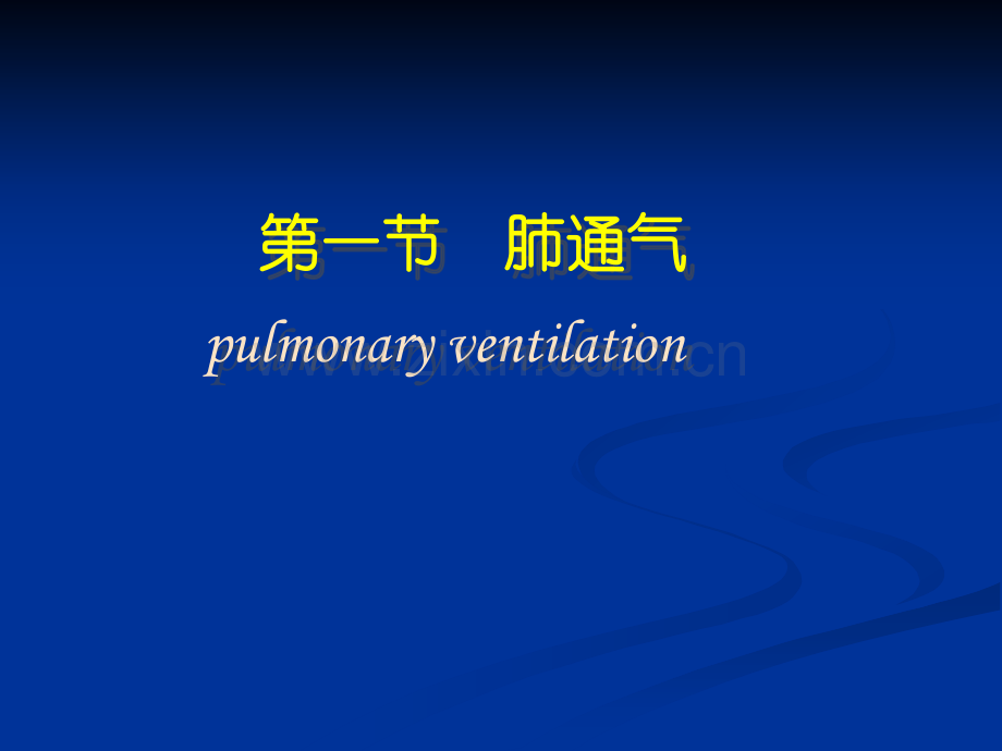 呼吸系统生理-(1).ppt_第3页