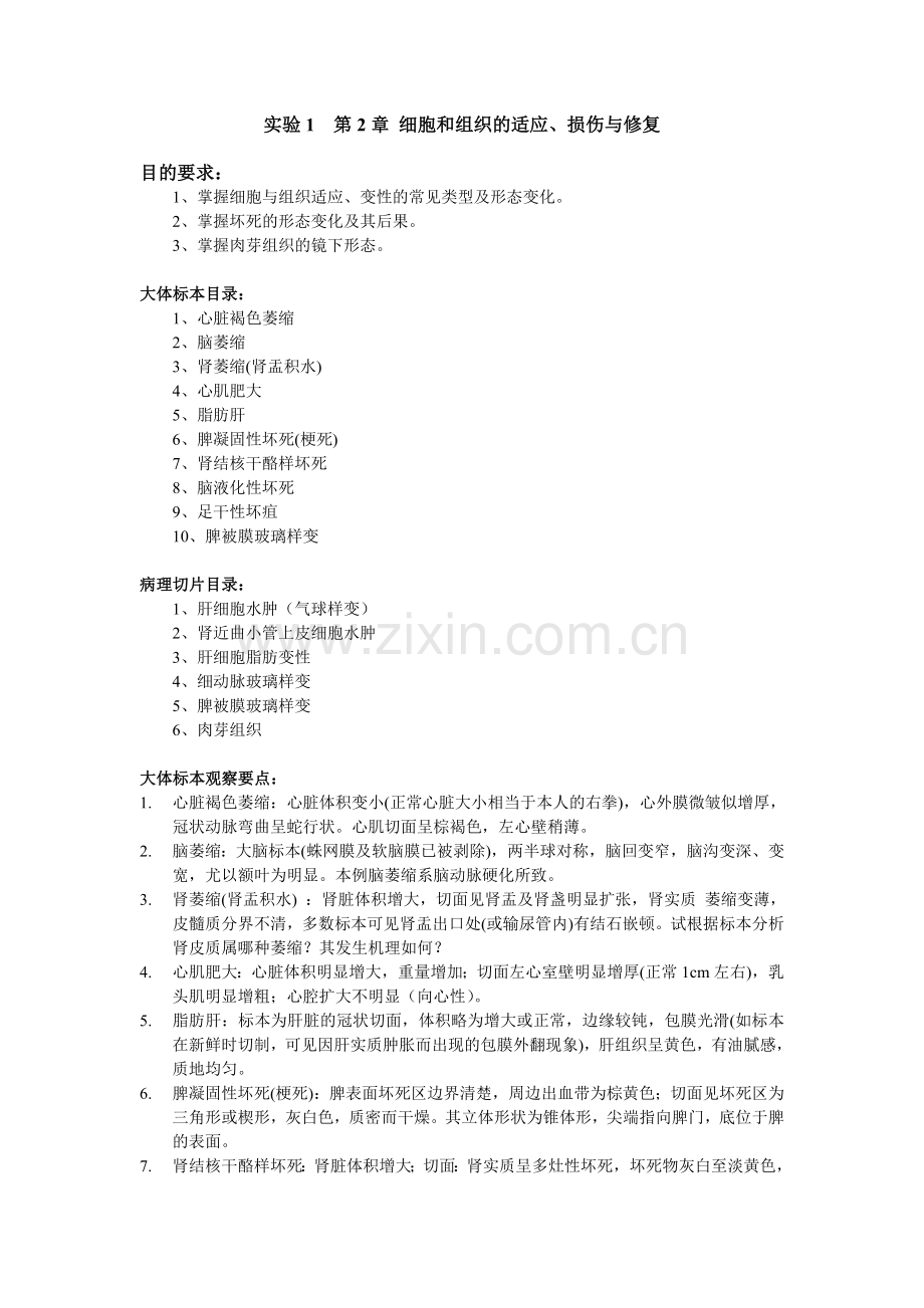 病理学实验教案(1).doc_第1页